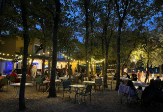 Dîner en plein air au Domaine des Chênes Blancs en Provence, France, sous des guirlandes lumineuses le soir.
