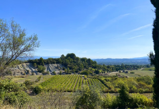 Zicht op wijngaarden, velden en heuvels nabij Domaine des Chênes Blancs in de zonovergoten Provence, Frankrijk.