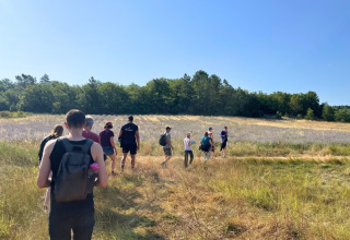 Un groupe de personnes randonne près de Saint-Saturnin-lès-Apt par une journée ensoleillée et ciel bleu.