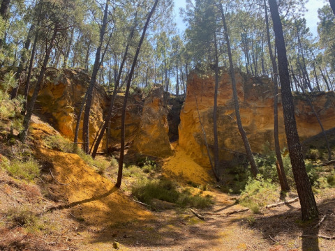 Scenic view of pine trees and yellow cliffs at Domaine des Chênes Blancs, Provence-Alpes-Côte d’Azur, France.