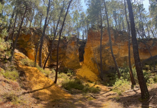 Paesaggio con pini e scogliere gialle a Domaine des Chênes Blancs, Provence-Alpes-Côte d’Azur, Francia.