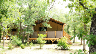 PREMIUM Lodge safari tent at Domaine des Chênes Blancs in France, surrounded by lush green trees.