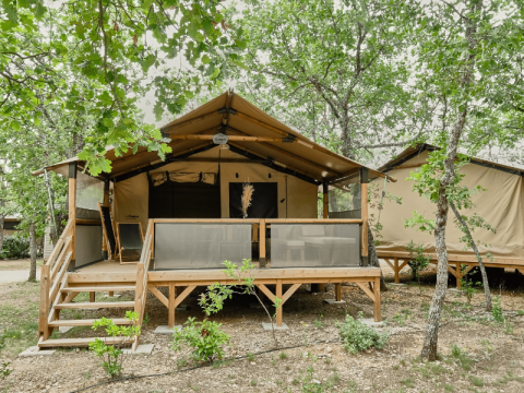 Safaritent Lodge COSY omgeven door bomen, verhoogd op een houten platform met veranda en trap.