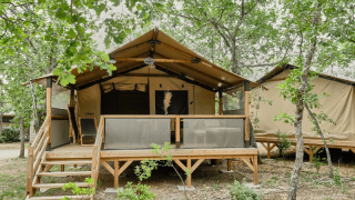 Safaritent Lodge COSY omgeven door bomen, verhoogd op een houten platform met veranda en trap.