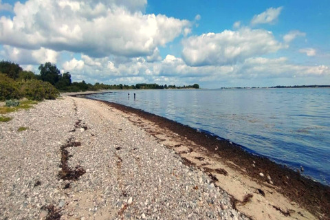 Kieselstrand mit Blick auf das Meer und blauen Himmel, nahe 4-Personen-Ferienhaus in Haderslev, Dänemark.