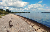 Kieselstrand mit Blick auf das Meer und blauen Himmel, nahe 4-Personen-Ferienhaus in Haderslev, Dänemark.