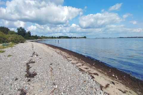 Plage de galets avec vue sur la mer et ciel bleu près d'une maison de vacances pour 4 à Haderslev, Danemark.