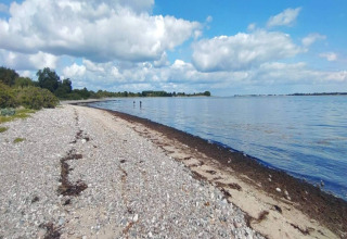 Plage de galets avec vue sur la mer et ciel bleu près d'une maison de vacances pour 4 à Haderslev, Danemark.