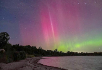 Nordlys over strand og træer ved «4 personers feriehus i Haderslev», Danmark, under stjerneklar nattehimmel.