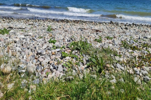 Plage rocheuse et vue sur la mer au « 4 person holiday home in Haderslev » par temps ensoleillé au Danemark.