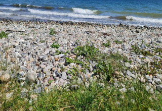 Plage rocheuse et vue sur la mer au « 4 person holiday home in Haderslev » par temps ensoleillé au Danemark.