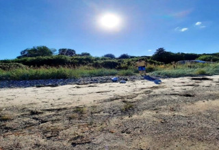 Giornata di sole sulla spiaggia vicino a una casa vacanze per 4 persone a Haderslev, Danimarca, con vegetazione.
