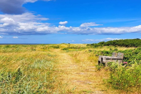 Sentier à travers l’herbe haute avec banc et ciel bleu, au gîte 4 personnes de Haderslev, Danemark.