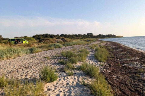Plage avec végétation près du « gîte 4 personnes à Haderslev », Danemark, et un van près du rivage.