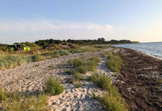 Spiaggia sabbiosa con vegetazione alla casa vacanze per 4 persone a Haderslev, Danimarca, vicino al mare.