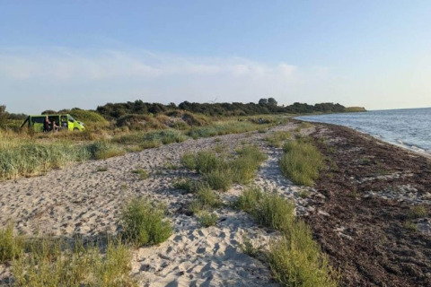 Plage avec végétation près du « gîte 4 personnes à Haderslev », Danemark, et un van près du rivage.
