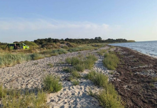 Plage avec végétation près du « gîte 4 personnes à Haderslev », Danemark, et un van près du rivage.