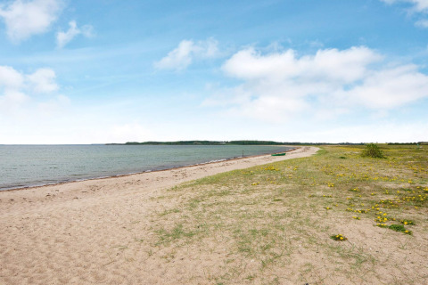 Plage de Haderslev, Danemark avec sable, herbe verte, fleurs jaunes et ciel bleu paisible.