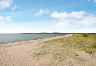 Plage de Haderslev, Danemark avec sable, herbe verte, fleurs jaunes et ciel bleu paisible.