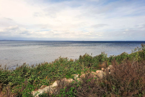 Vue sur la mer et la végétation côtière depuis le « gîte 4 personnes à Haderslev » au Danemark, sous un ciel nuageux.