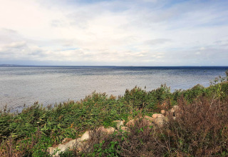 Vista sul mare e sulla vegetazione costiera dal 'casa vacanza per 4 persone a Haderslev' in Danimarca.