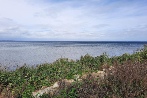 Vue sur la mer et la végétation côtière depuis le « gîte 4 personnes à Haderslev » au Danemark, sous un ciel nuageux.