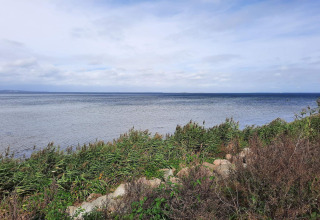 Vue sur la mer et la végétation côtière depuis le « gîte 4 personnes à Haderslev » au Danemark, sous un ciel nuageux.
