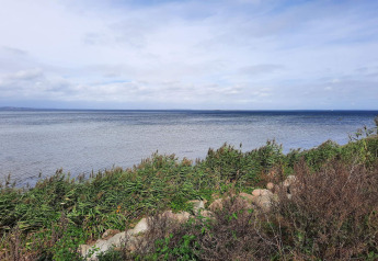 Udsigt over havet og kysten fra ferieboligen '4 personers feriehus i Haderslev' i Danmark, med grøn vegetation.