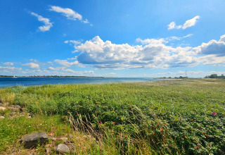 Blick auf Wiese und Küste mit blauem Himmel, aufgenommen beim '4 Personen Ferienhaus in Haderslev' in Dänemark.
