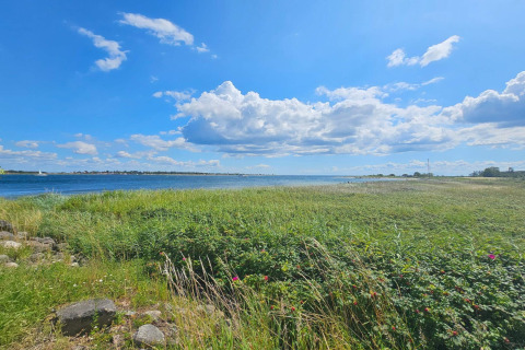 Vue sur prairie verte et côte sous ciel bleu prise à la 'Maison de vacances 4 personnes à Haderslev', Danemark.