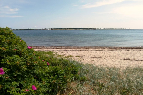 Strandudsigt fra ferieboligen i Haderslev, Danmark, med sandstrand, vand og blomstrende buske.