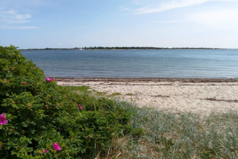 Vue depuis la maison de vacances à Haderslev, Danemark, sur plage de sable, eau calme et arbustes fleuris.