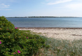 Vue depuis la maison de vacances à Haderslev, Danemark, sur plage de sable, eau calme et arbustes fleuris.