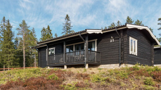 Black wooden 6 person holiday home lodge in Kopparberg, Sweden, with porch, surrounded by a pine forest.