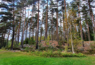Uitzicht op een met dennen bedekte heuvel bij een vakantiehuis in Kopparberg, Zweden, met groen gras.