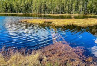Eau claire d’un lac et berge herbeuse avec une forêt près d’un gîte à Kopparberg, Suède.