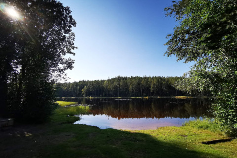 Zonnig uitzicht op meer met bomen bij vakantiehuis voor 6 personen in Kopparberg, Zweden, rustige natuur.