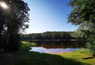 Zonnig uitzicht op meer met bomen bij vakantiehuis voor 6 personen in Kopparberg, Zweden, rustige natuur.