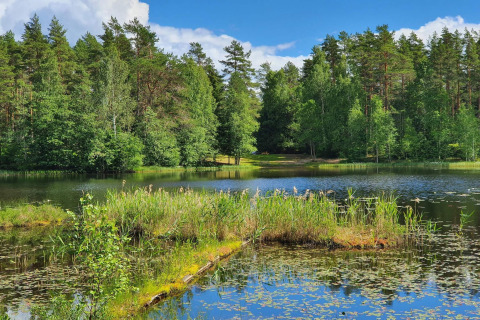 Mooi uitzicht op een meer en bos bij het 6-persoons vakantiehuis in Kopparberg, Zweden.