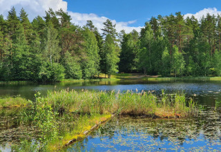 Mooi uitzicht op een meer en bos bij het 6-persoons vakantiehuis in Kopparberg, Zweden.