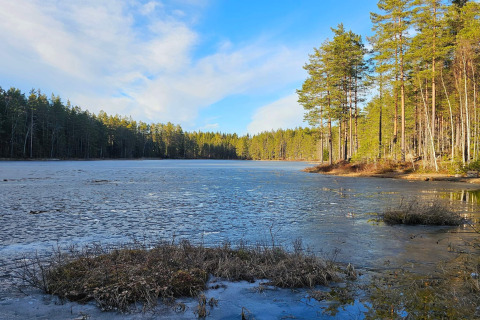 Bevroren meer omringd door dennenbomen en blauwe lucht nabij een lodge in Kopparberg, Zweden.
