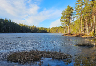 Bevroren meer omringd door dennenbomen en blauwe lucht nabij een lodge in Kopparberg, Zweden.