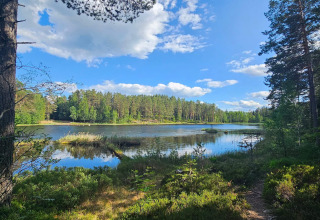Uitzicht op een vredig meer met bomen en blauwe lucht bij een lodge voor 6 personen in Kopparberg, Zweden.