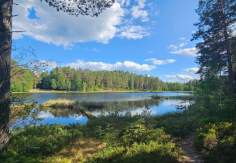 Blick auf einen ruhigen See mit Bäumen und blauem Himmel bei einer 6-Personen-Ferienhütte in Kopparberg, Schweden.