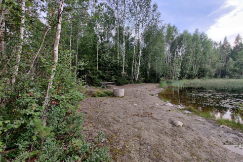 Bosrijk uitzicht met meer, picknicktafel en vuurplaats bij een vakantiehuis in Kopparberg, Zweden.