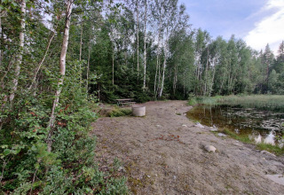 Bosrijk uitzicht met meer, picknicktafel en vuurplaats bij een vakantiehuis in Kopparberg, Zweden.