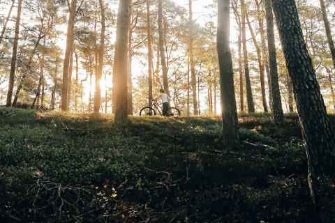 Persoon met fiets in een zonnig bos bij 6-persoons vakantiehuis in Kopparberg, Zweden, tijdens zonsopgang.