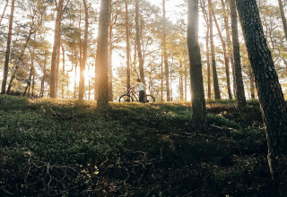 Persoon met fiets in een zonnig bos bij 6-persoons vakantiehuis in Kopparberg, Zweden, tijdens zonsopgang.