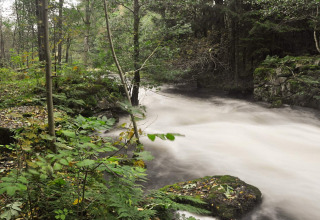 Snelstromende rivier door een bos nabij 6-persoons vakantiehuis in KOPPARBERG, Zweden, rustieke omgeving.