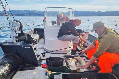 Tre personer på en båd i Jarfjord, Sverige, renser og sorterer friskfanget fisk ved en rolig sø.
